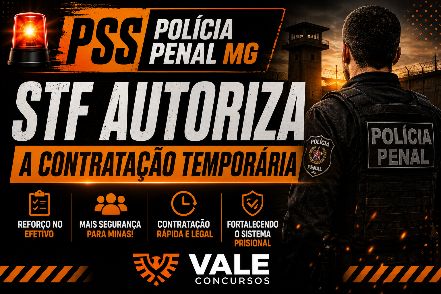 Processo Seletivo PPMG - Entenda